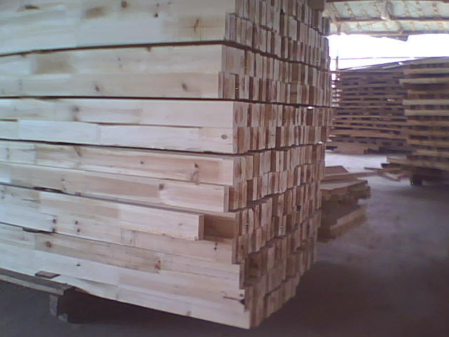 ɼľָ�Ӱ��Ԕ��(x��)��B