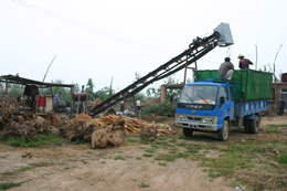 �ɠ����Ƅ�(d��ng)ʽ��Ƭ�C(j��)��Ԕ��(x��)��B