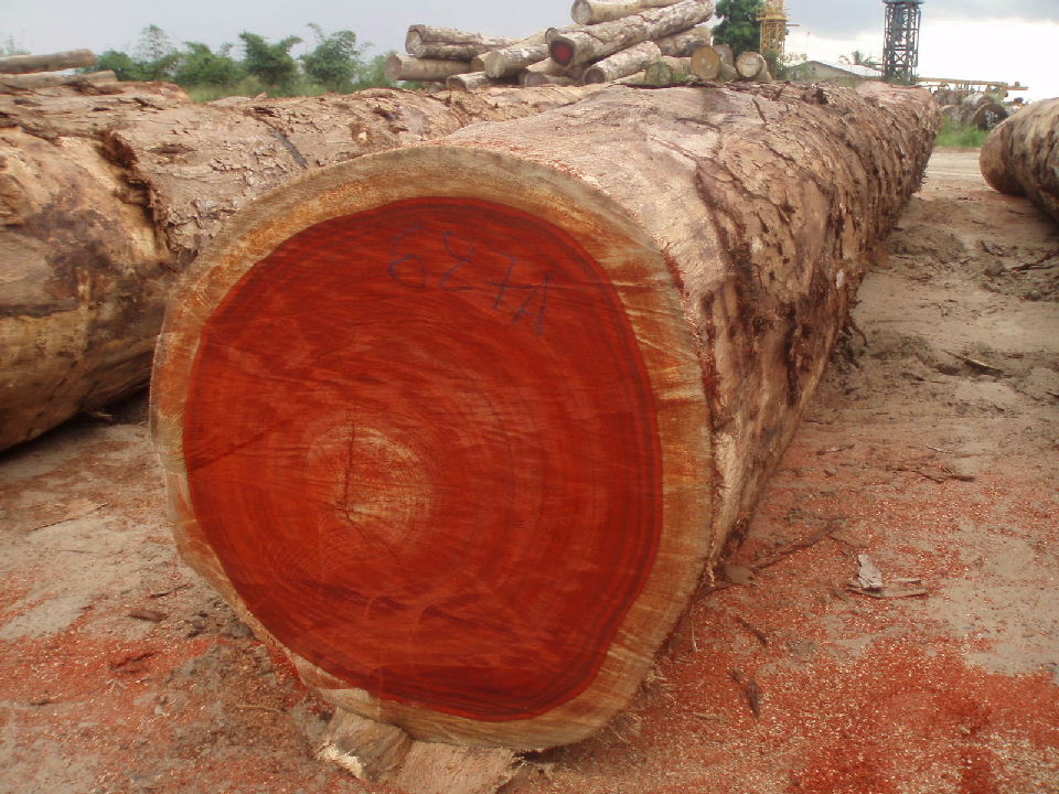 �t�����Ԕ����B