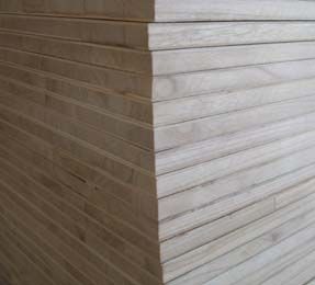 ��(x��)ľ����