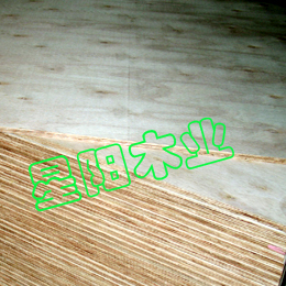 ľ�ذ���ĵ�Ԕ��(x��)��B