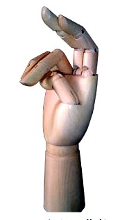 �P��(ji��)�ֵ�Ԕ����B