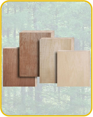 �����Ԕ����B