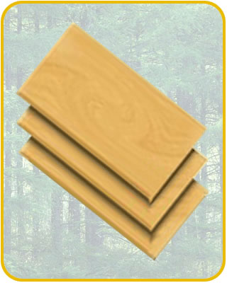 ��ľ�����Ԕ����B