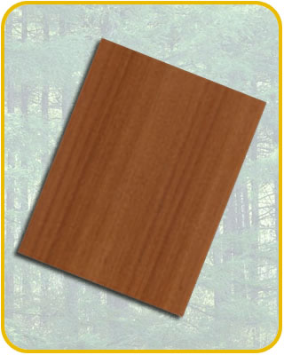 �t���ҵ�Ԕ����B