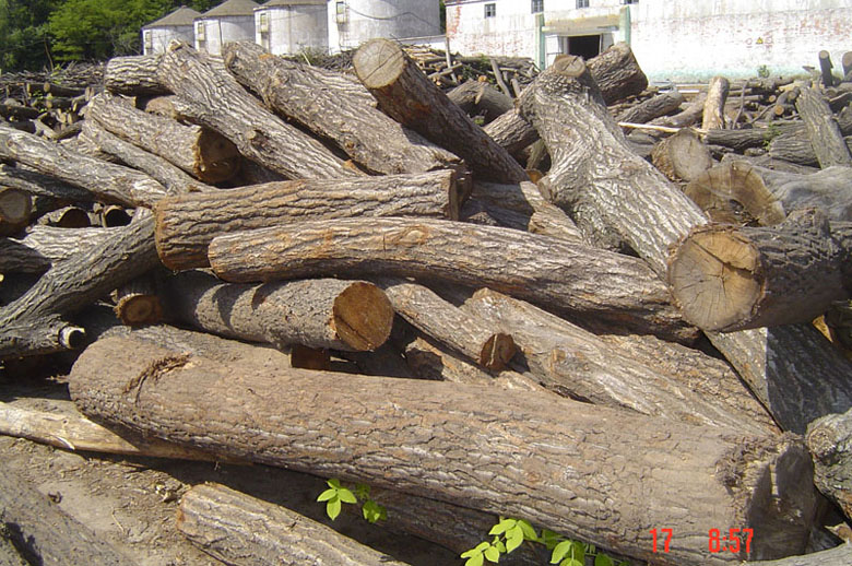 ��ľԭľ��Ԕ��(x��)��B