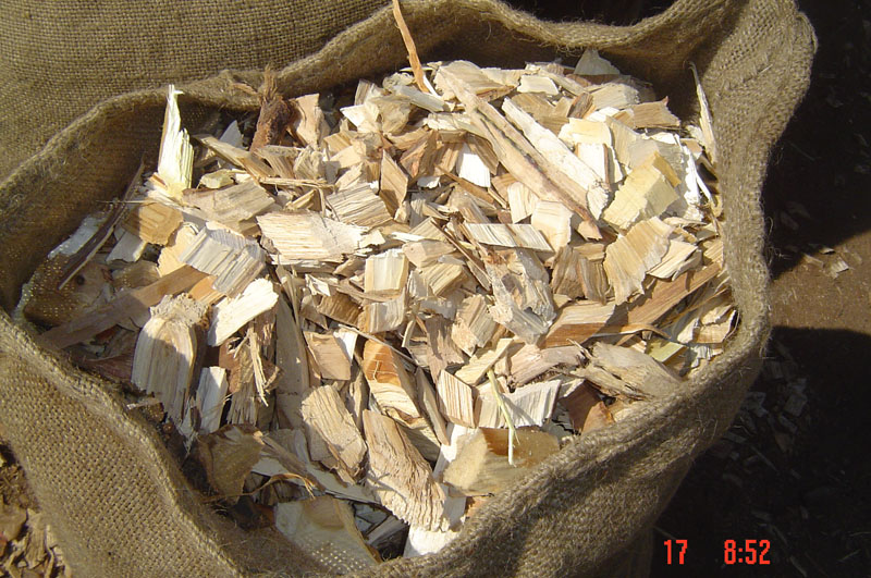 �����sľľƬ��Ԕ��(x��)��B