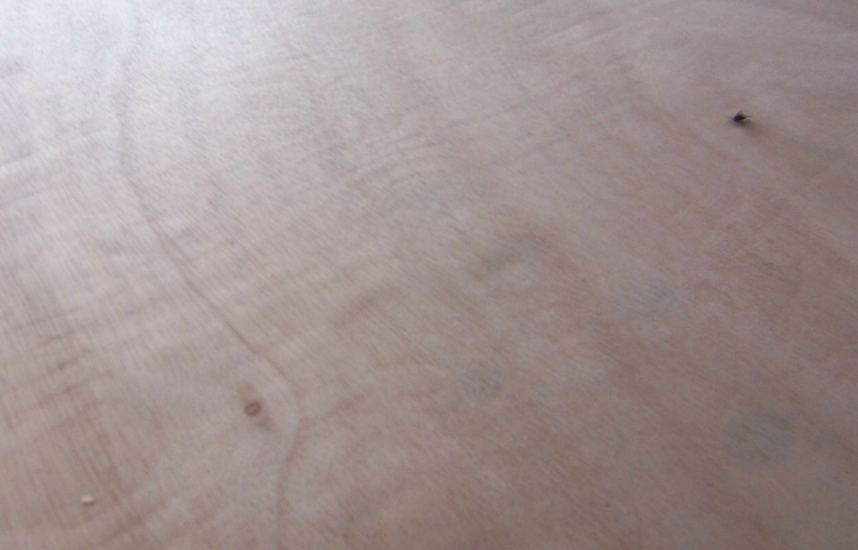 ��ľ�����Ԕ����B