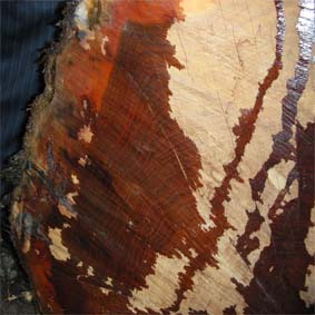 ������޼ľ��Ԕ��(x��)��B