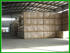 ���w���Ԕ��(x��)��B