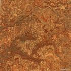 ��ĵ�Ԕ����B