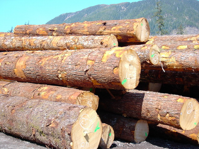 �Fɼԭľ��Ԕ��(x��)��B