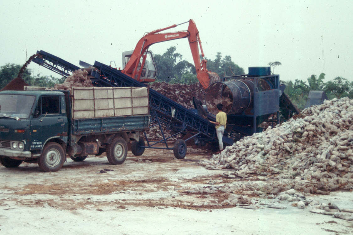 ľм��Ԕ��(x��)��B