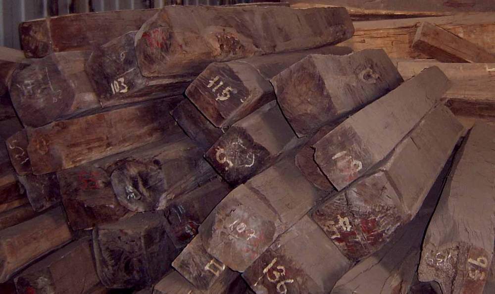 ���޼t��֦ �M���ҵľW(w��ng)���k�����ĵ�Ԕ����B