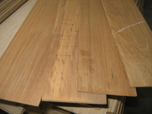 ������ľ��Ԕ����B