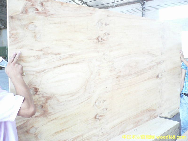 ݗ����D�ȼ��z�ϰ�