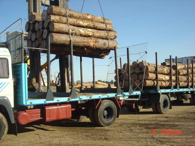 ��ľԭľ��Ԕ����B