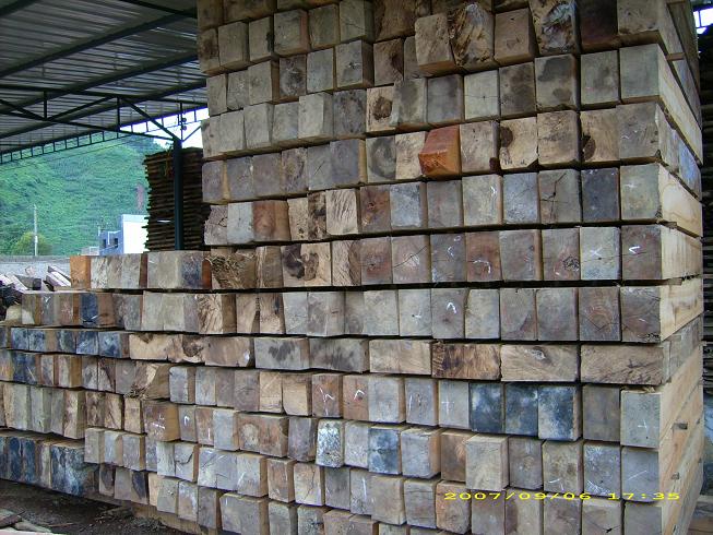 ������ľ