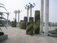 ���w���������w������Ԕ��(x��)��B