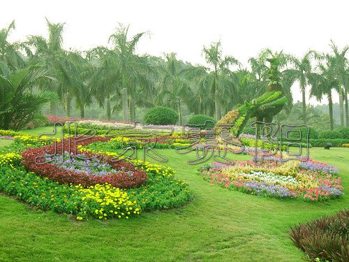 ģ�y����������ِ�(y��ng)