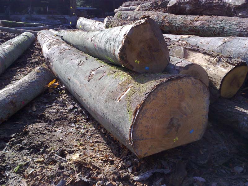 �W�ޙ�ľB/C��ԭľ��Ԕ��(x��)��B