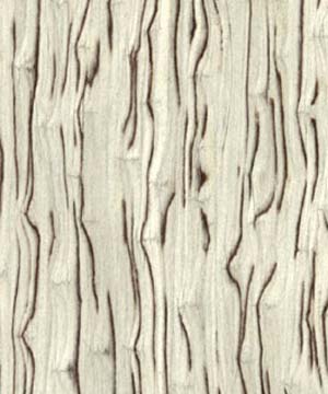 �Ƽ�ľƤ��Ԕ��(x��)��B