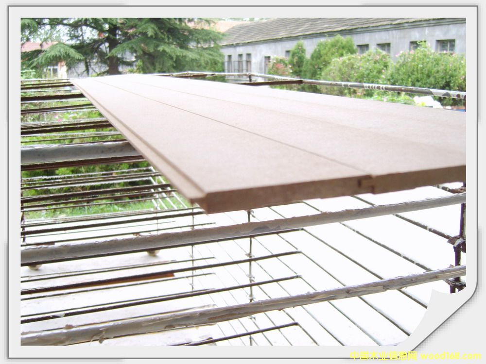 ɣ�ð壮�o(h��)�����Ԕ��(x��)��B