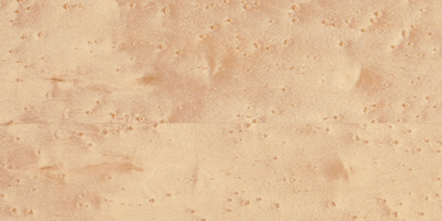 ȸ�ۗ�ľ��Ԕ����B