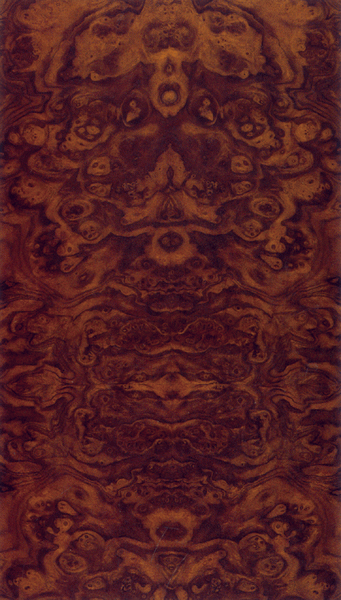 ����ľ������Ԕ����B