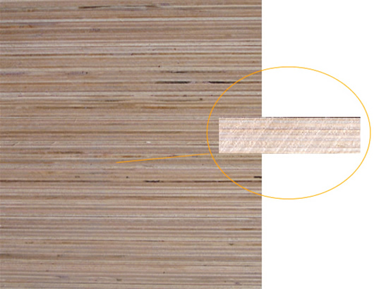 ȫ��ľ�z�ϰ��Ԕ��(x��)��B