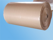 �ӽ�ţƤ���z��ĸ����Ԕ����B