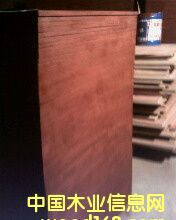 ��ľ������ģ���Ԕ��(x��)��B