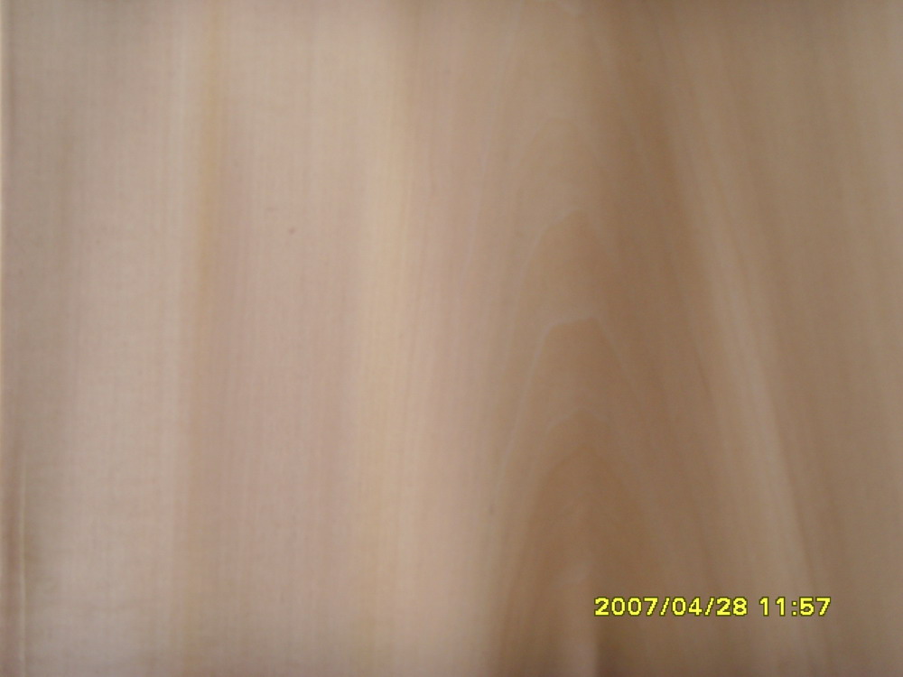 ��ɽ�{(l��n)�칩��(y��ng)��(gu��)�a(ch��n)ľƤ���ľľƤ��Ԕ��(x��)��B