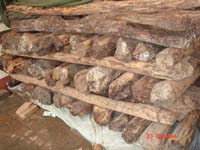 С�~��̴��Ԕ����B