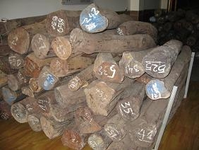 �t��֦��Ԕ����B