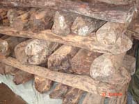 С�~��̴��Ԕ����B