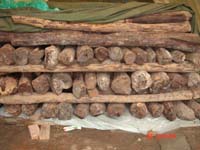 С�~��̴��Ԕ����B