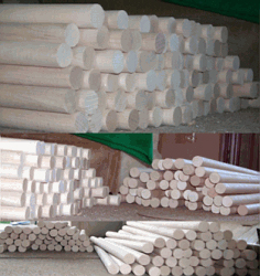 �B�ۗ���Ԕ����B