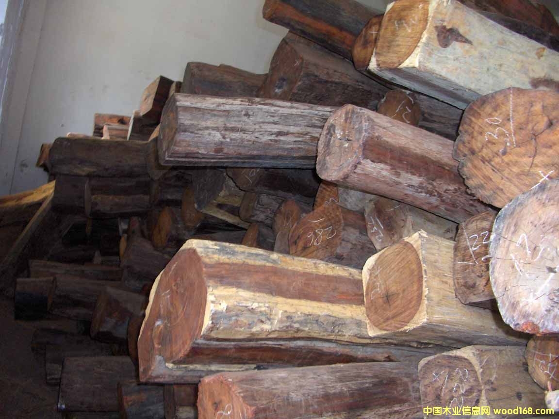 �t��֦��Ԕ����B