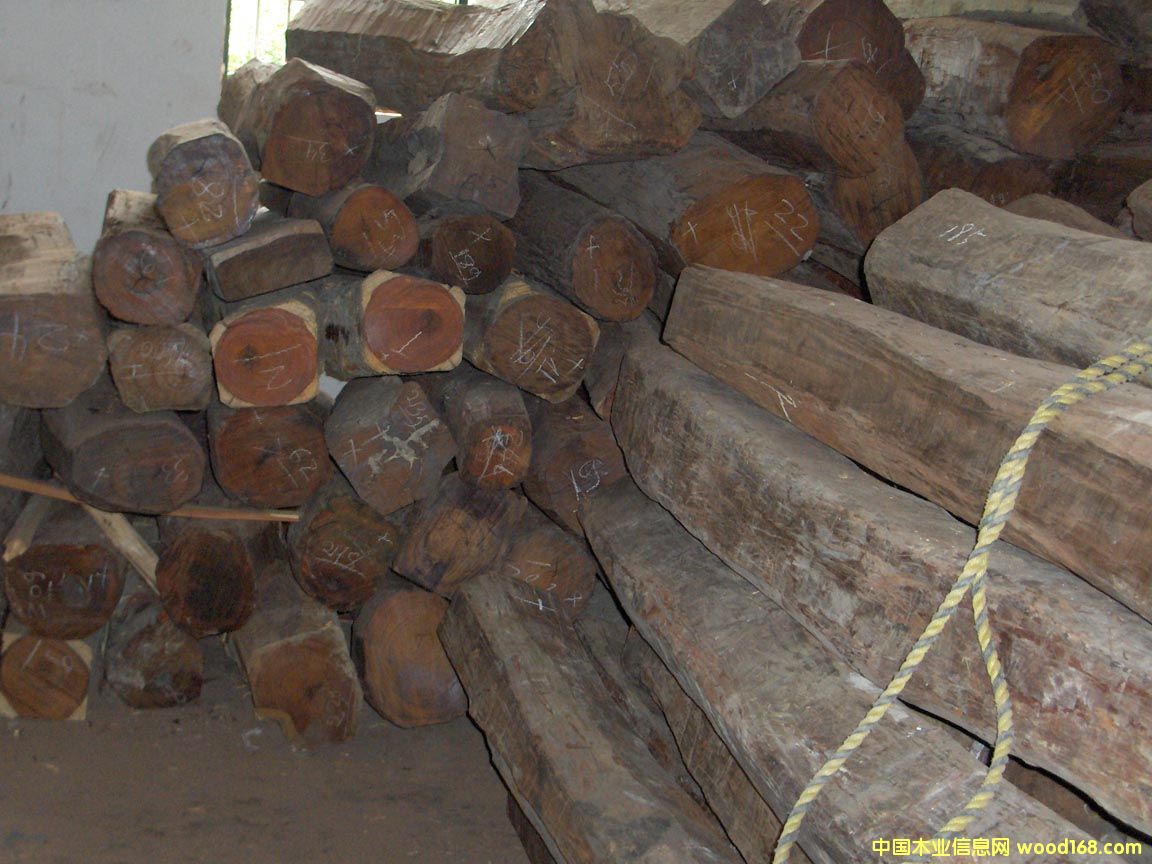 �t��֦��Ԕ����B