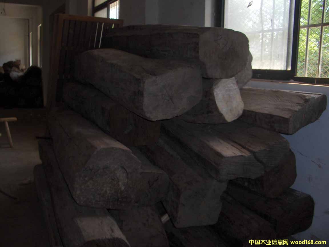 �t��֦��Ԕ����B