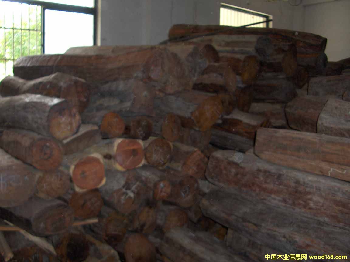 �t��֦��Ԕ����B