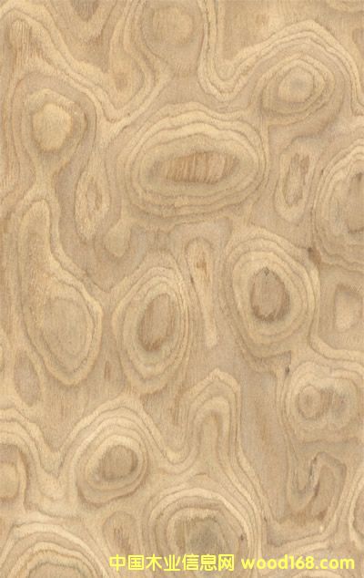 ������(sh��)����Ԕ��(x��)��B