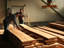 �W�ޙ�ľ��Ԕ��(x��)��B