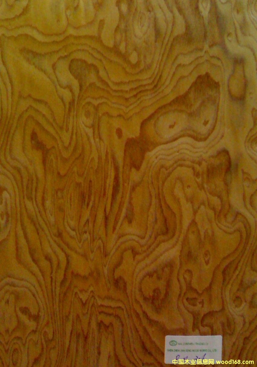 �������y��Ԕ��(x��)��B