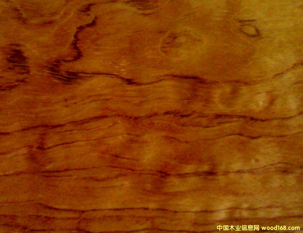 �����Ԕ��(x��)��B