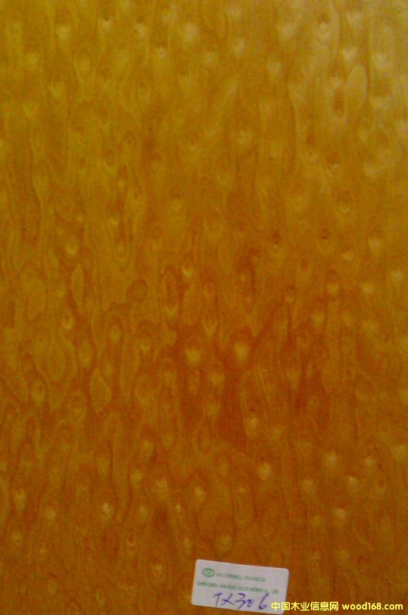 ȸ�۵�Ԕ��(x��)��B