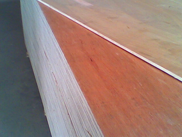 ���Ʒ�z�ϰ��Ԕ����B