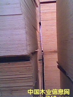 ���Ʒ�z�ϰ��Ԕ����B