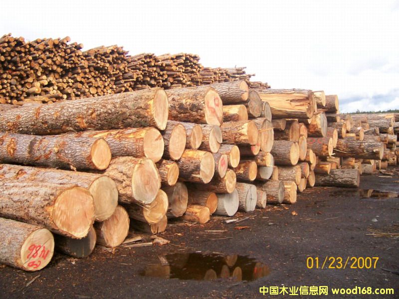 �����ɈDƬ��Ԕ����B